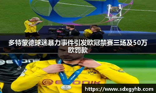 多特蒙德球迷暴力事件引发欧冠禁赛三场及50万欧罚款